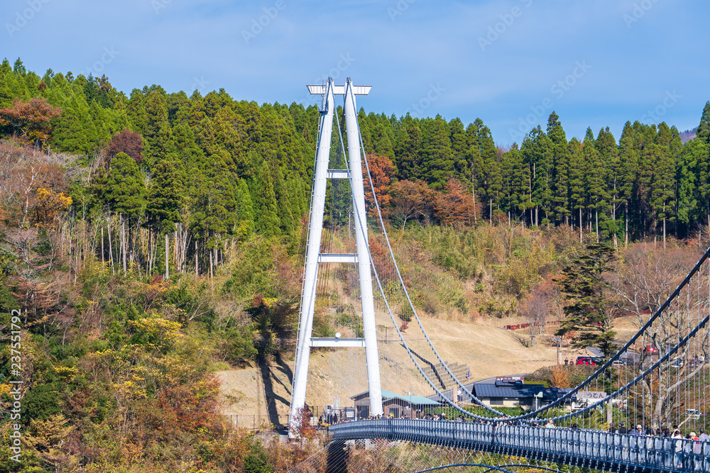 2018年11月11日，日本大田古居：Kokonoe Yume悬索桥（大隅桥），最高