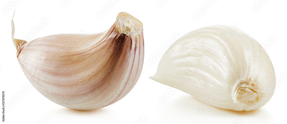 Garlic Isolated on white