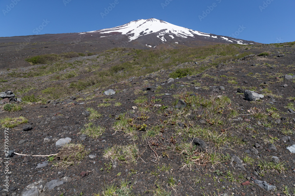 富士山之巅，雪与春天的富士山自然休闲林径