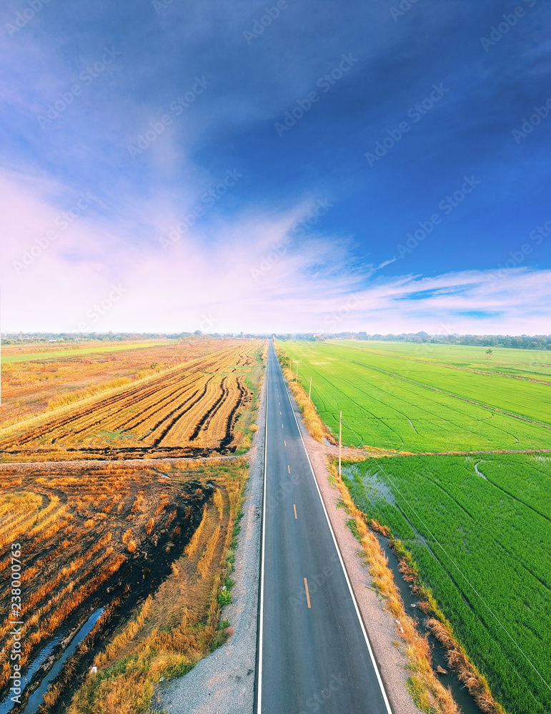 绿地之间道路俯视图