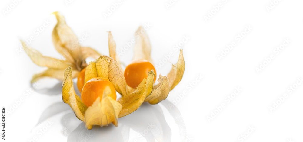 秘鲁Physalis peruviana。白色背景下的角果。成熟新鲜的Physalis特写。Goldenberr