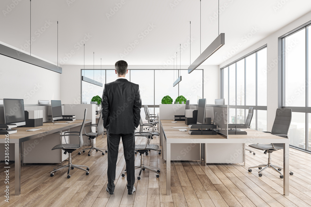 European businessman in modern office