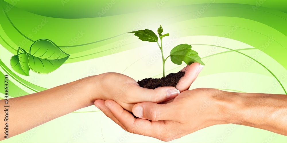 Green Growing Plant in Human Hands on beautiful natural