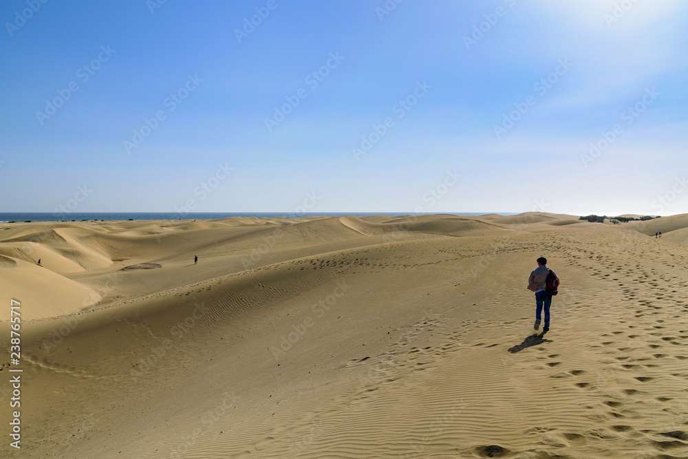 大加那利群岛Wydmy Maspalomas