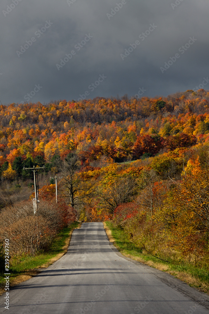 Autumn foliage in the Mohawk Valley, Montgomery County, New York State, USA.