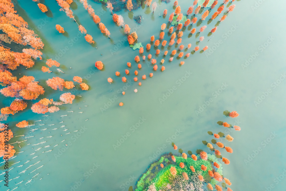 Colorful autumn forest and quiet lake scenery in the nature park,aerial view