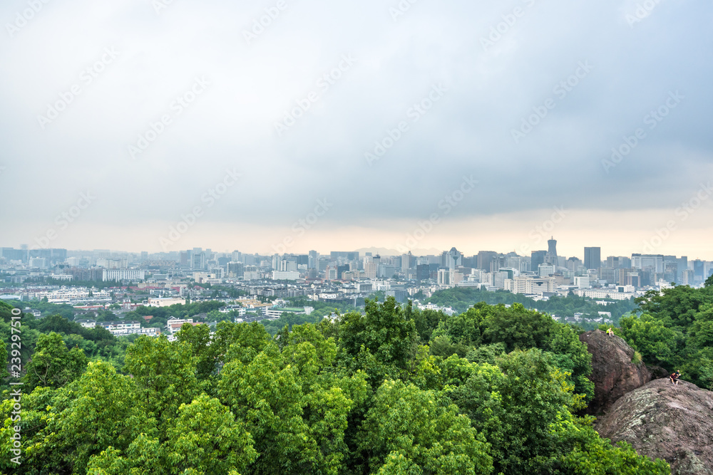 城市天际线全景