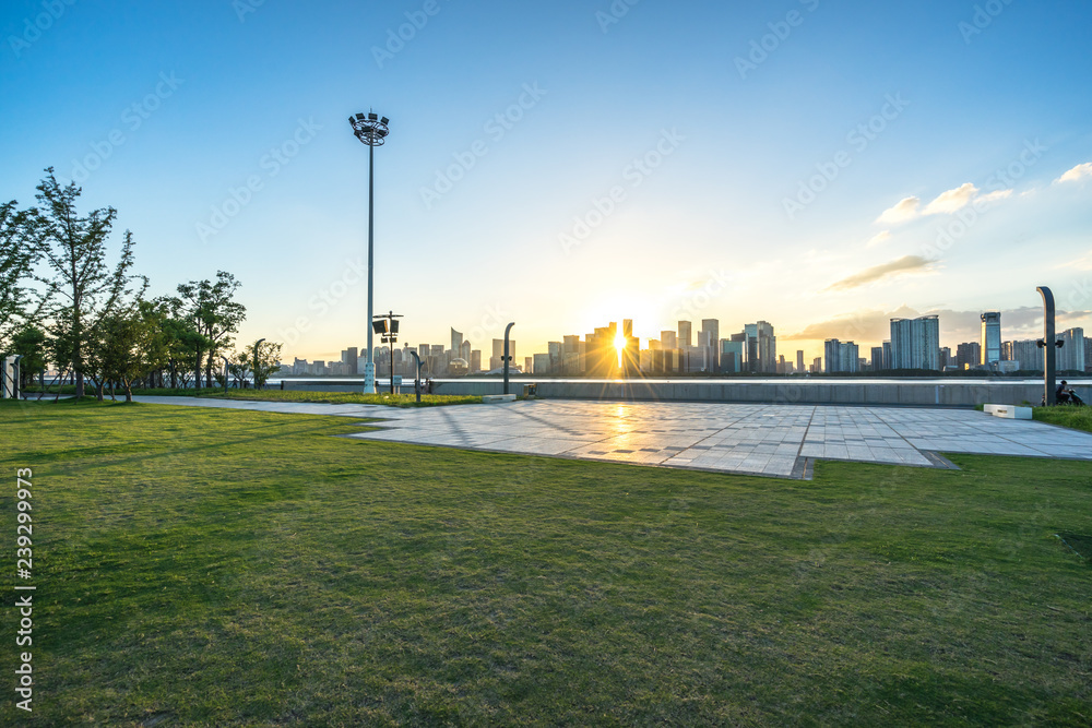 城市天际线全景