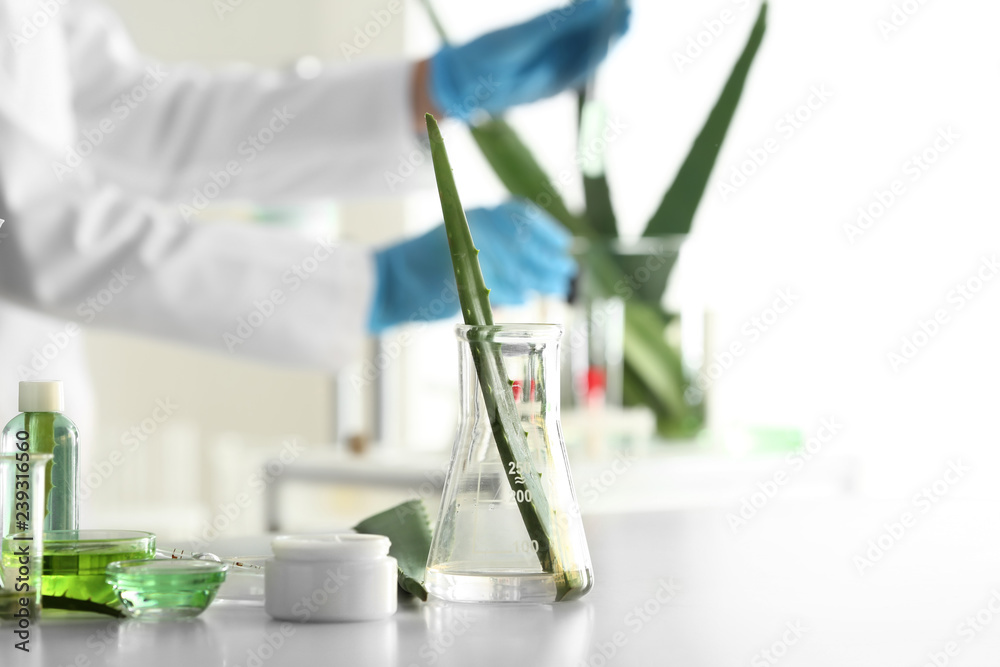 Flask with fresh aloe leaf on table in laboratory