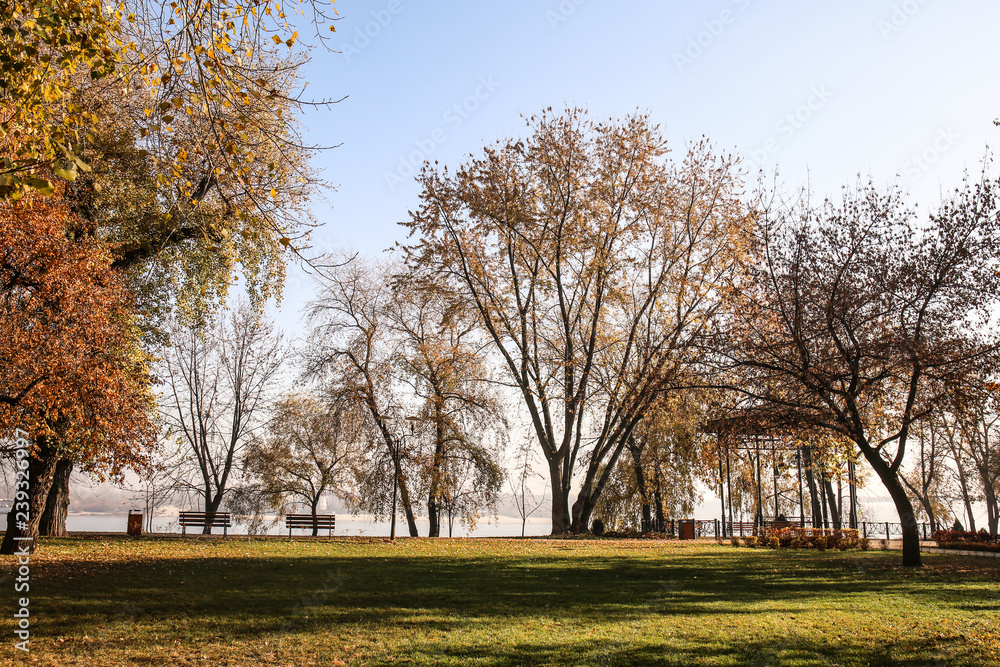 View of autumn park