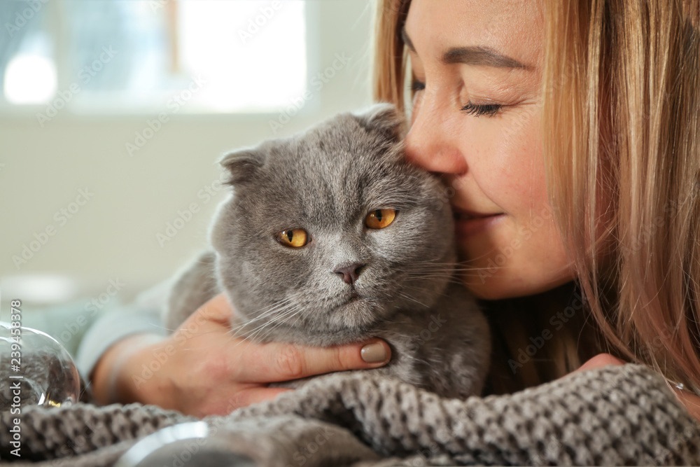 主人家里有一只可爱有趣的猫