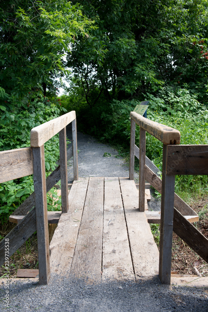 Pont en bois