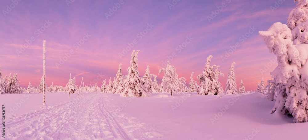 Panoramic idyllic winter landscape