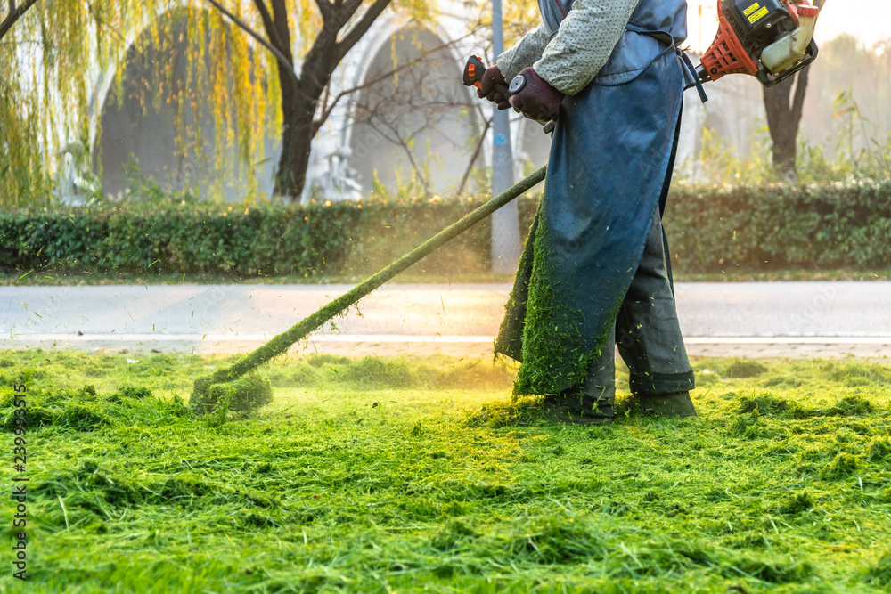 field mower