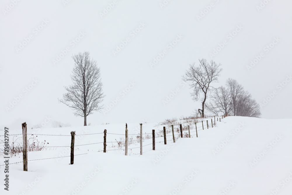 美国纽约州莫霍克山谷农场的雪和围栏