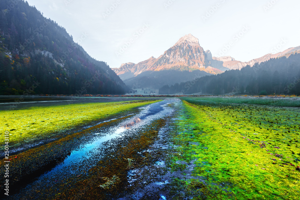 瑞士阿尔卑斯山Obersee湖上风景如画的春景。瑞士Nafels村。风景照片