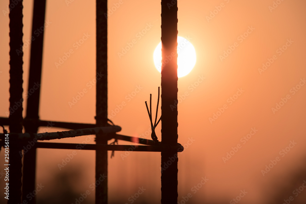 Silhouette construction site with sunset, Silhouette steel structure in the construction site in the