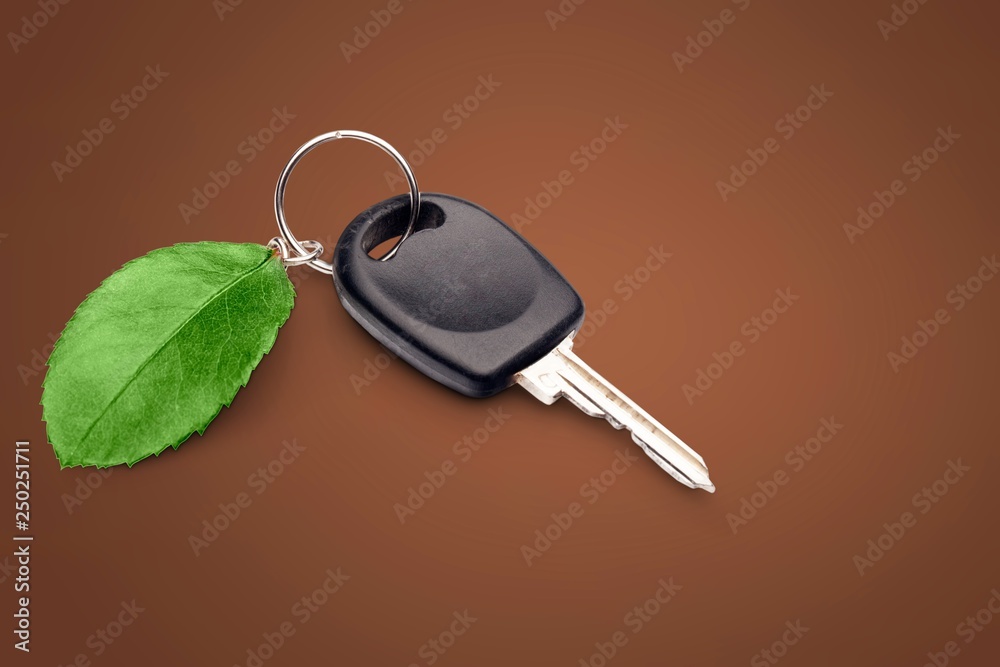 Green car key.