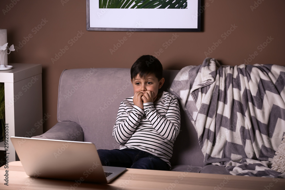 Scared little boy with laptop watching cartoons in evening