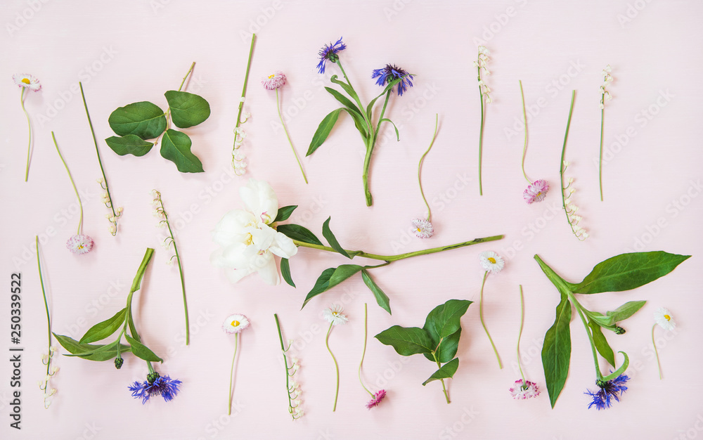 春天娇嫩的花朵布局。山谷百合、矢车菊、雏菊和牡丹的平躺花园流动