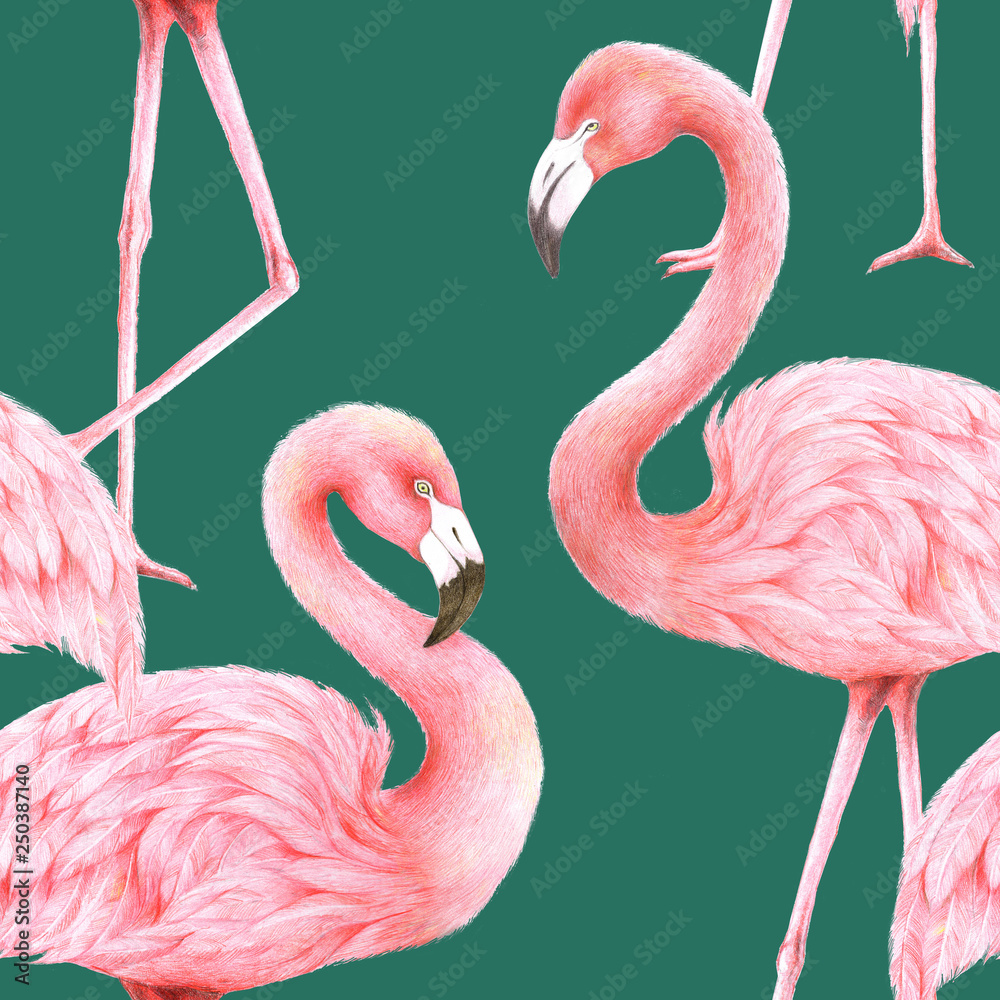 flamingos seemless pattern wallpaper,illustration,drawing hand and painted by color pencils 