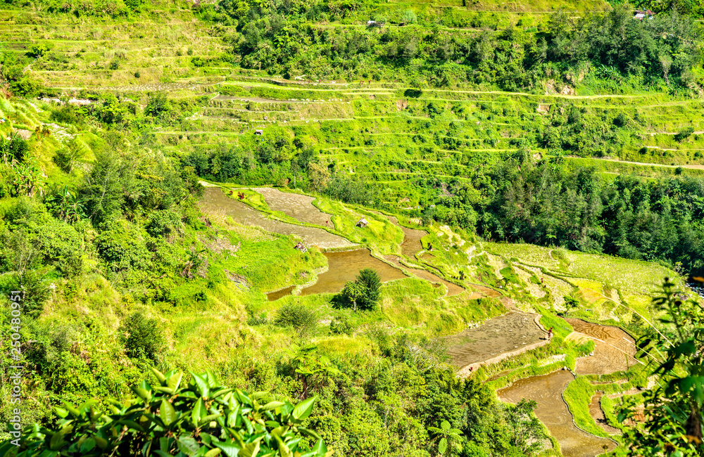 Banaue Rice Terraces-吕宋北部，联合国教科文组织菲律宾世界遗产。