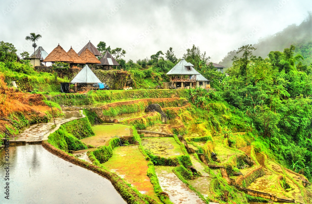 Banaue village on Luzon island, Philippines