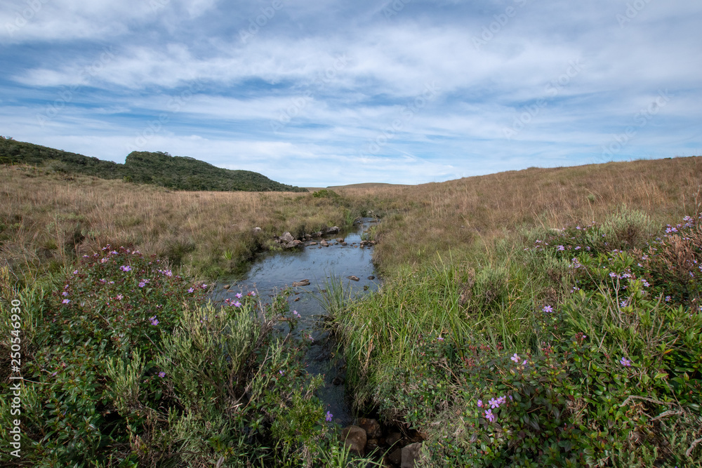 landscape with river