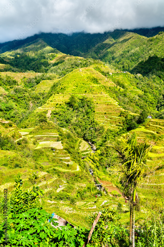 Banaue Rice Terraces-吕宋北部，联合国教科文组织菲律宾世界遗产。