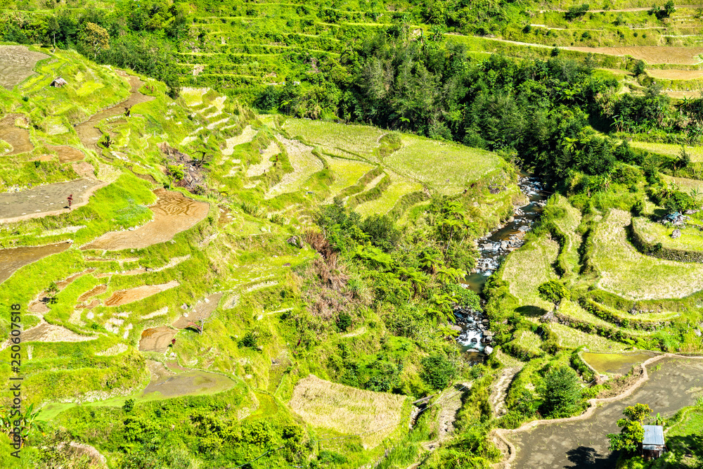 Banaue Rice Terraces-吕宋北部，联合国教科文组织菲律宾世界遗产。