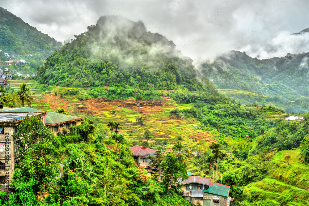 菲律宾吕宋岛上的Banaue村