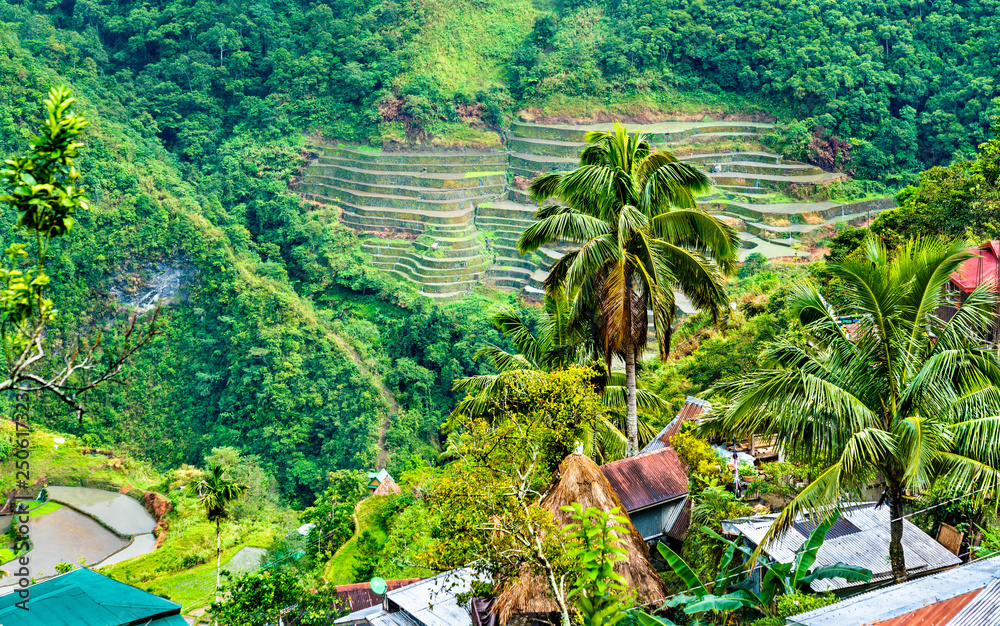 Batad Rice Terraces，联合国教科文组织菲律宾世界遗产