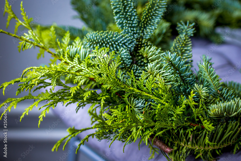 fir branches with ornaments in florist shop