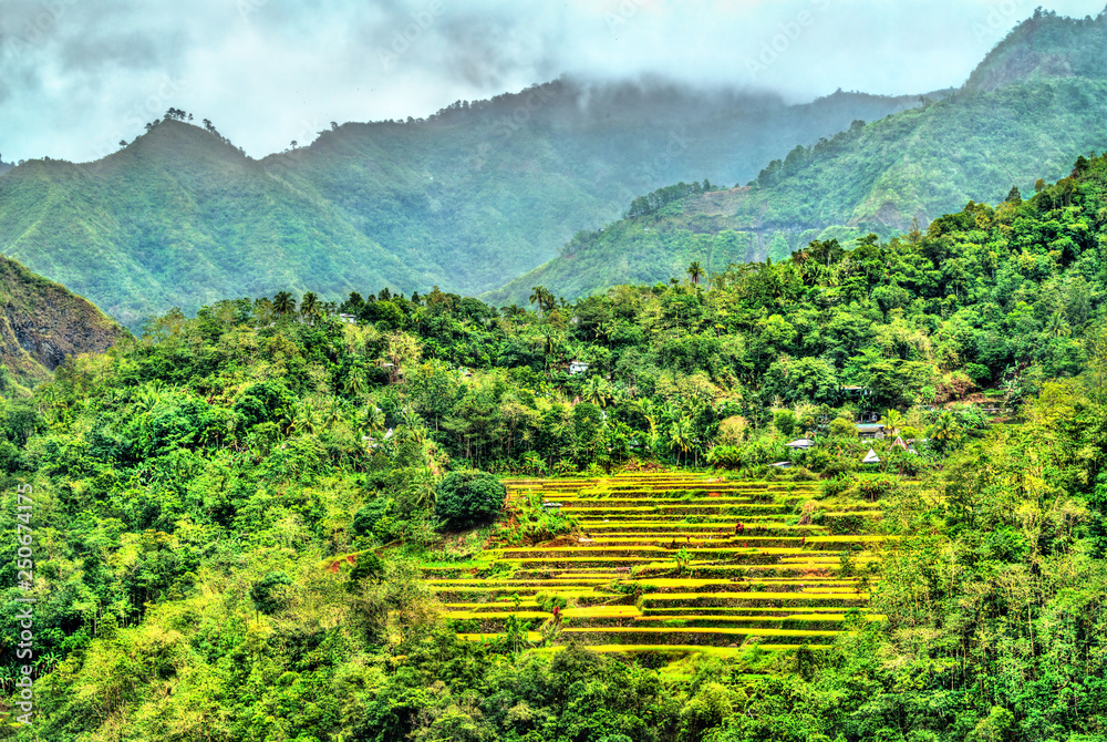 Mayoyao Rice Terraces, UNESCO world heritage in Ifugao, Philippines