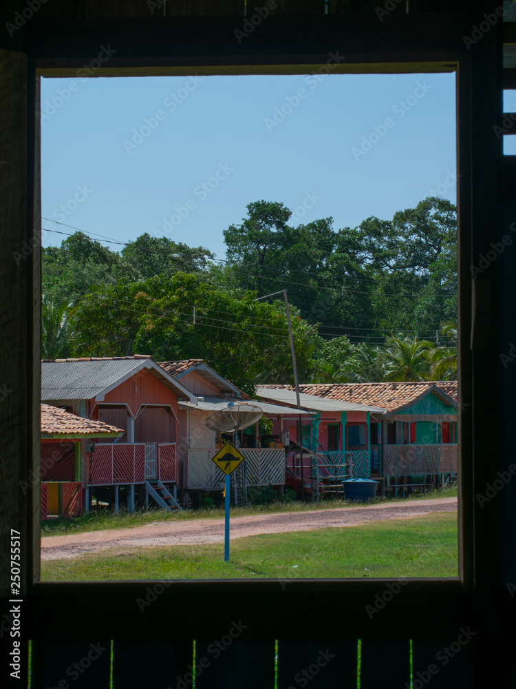 Window to Amazônia