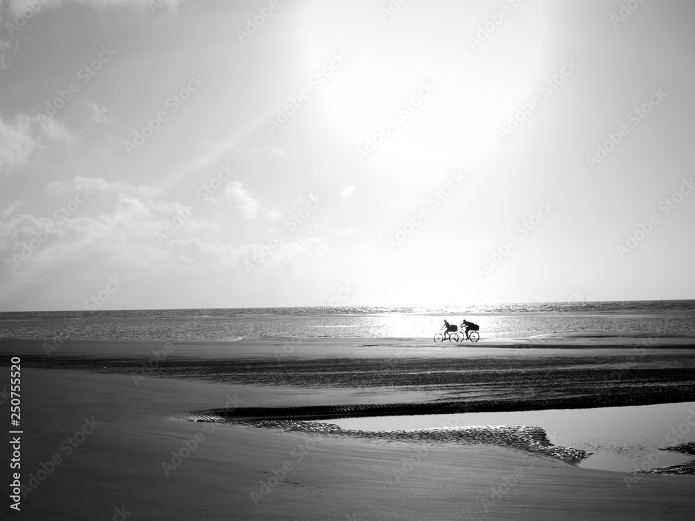 Seafishers and their bikes