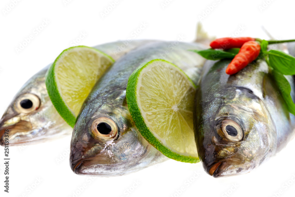 Fresh fish with lemon and leaf isolated on white background,concept cooking background