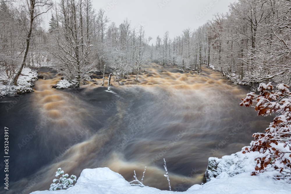 Wild Morrum river in snowy winter, Sweden