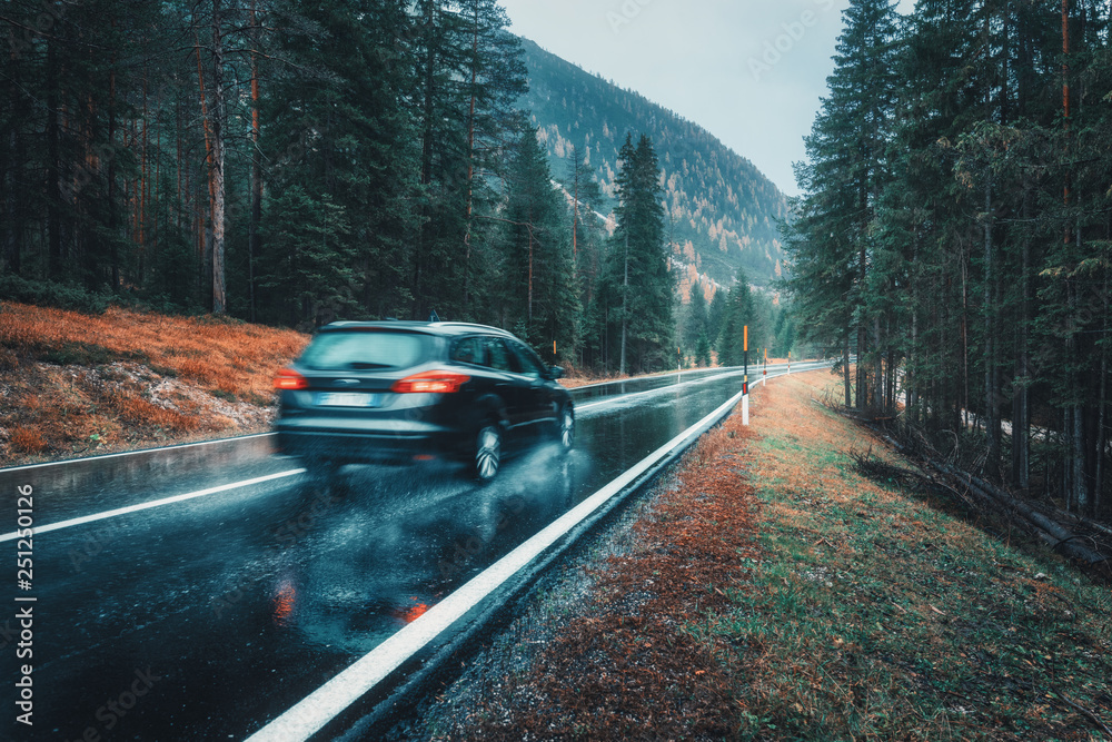 雨中秋林中行驶中的模糊汽车。托卡斯完美的沥青山路