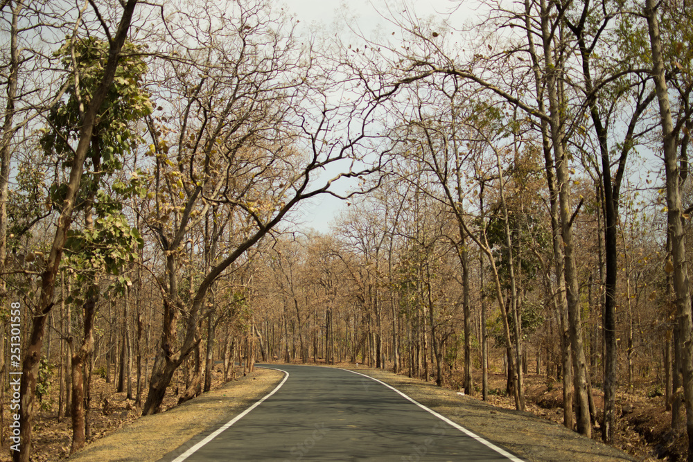 On the autumn road