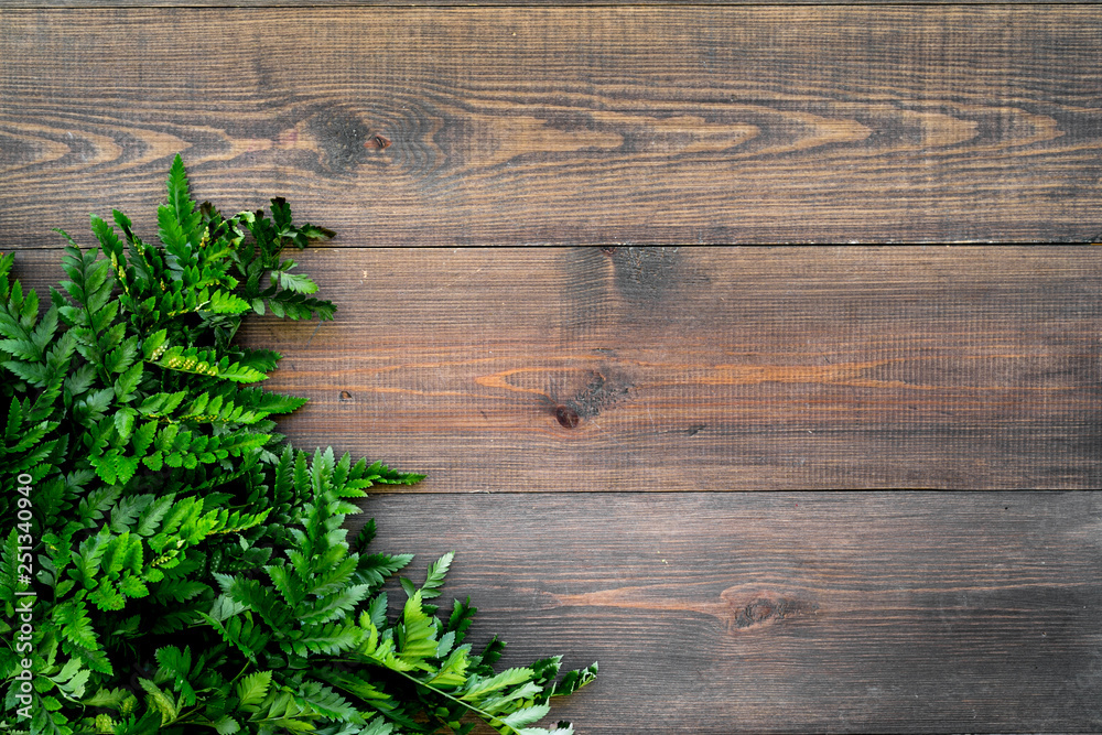 Spring concept. Green fern branches on dark wooden background top view copy space