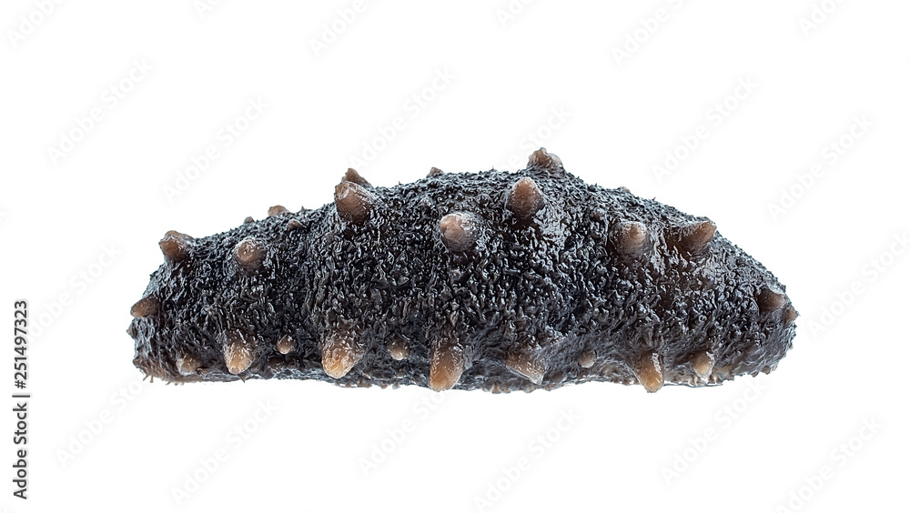 Wet sea cucumber