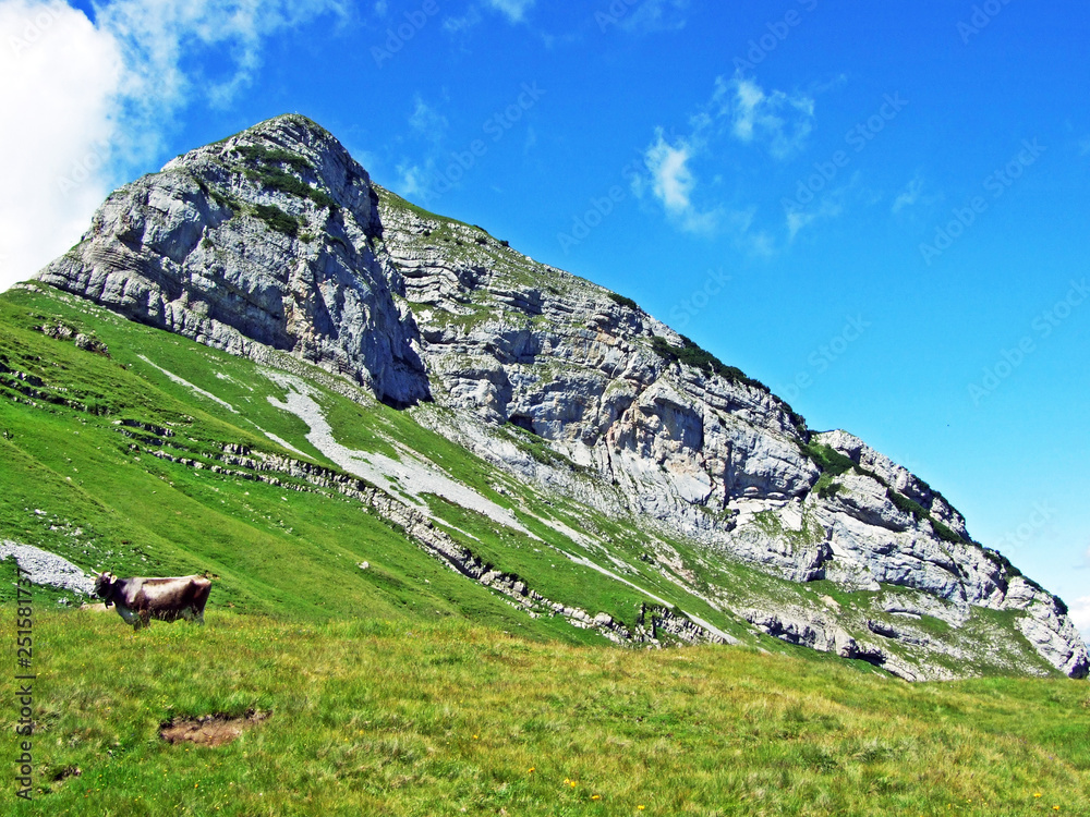 Margelchopf高山山峰和Alviergruppe山脉的徒步旅行者——加利福尼亚州