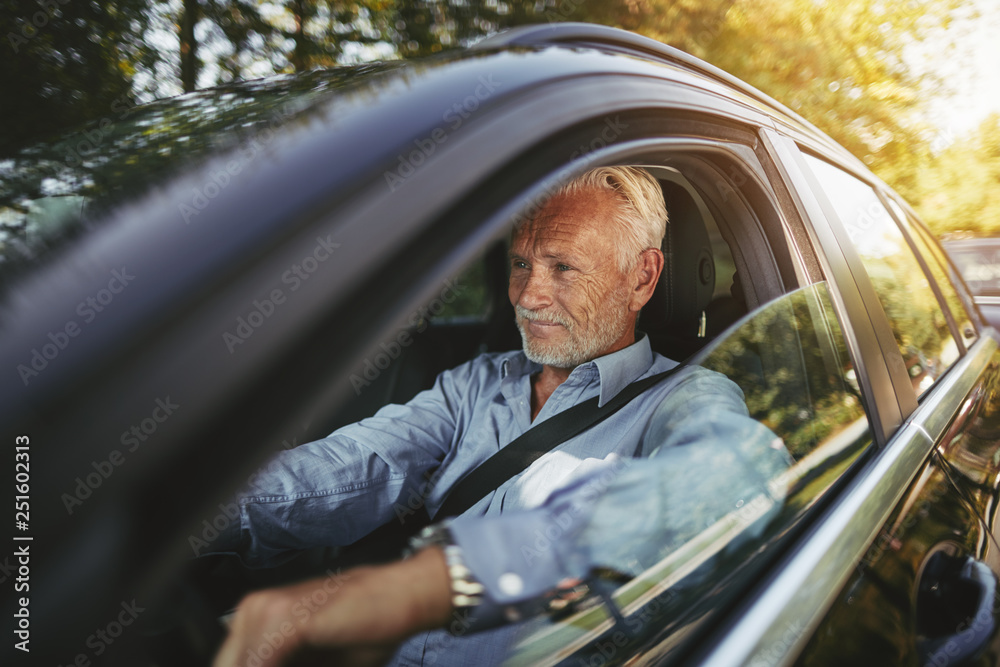 Smiling senior man driving on a tree lined country road