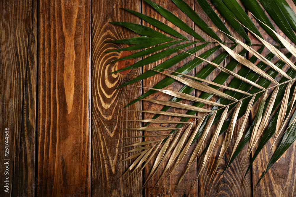 Green and golden tropical leaves on wooden background