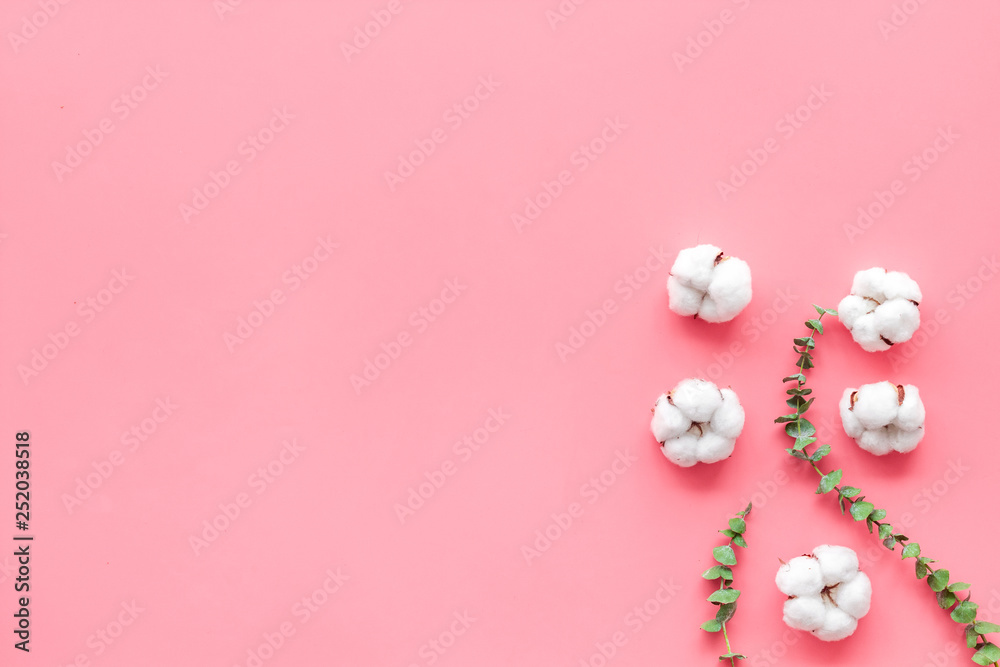 Natural flowers composition with eucalyptus branches and cotton on pink background top view, flat la