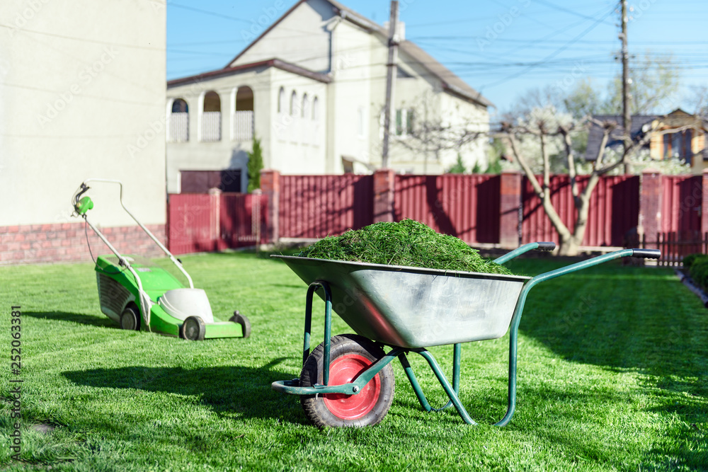 Electric lawn mower on green grass closeup