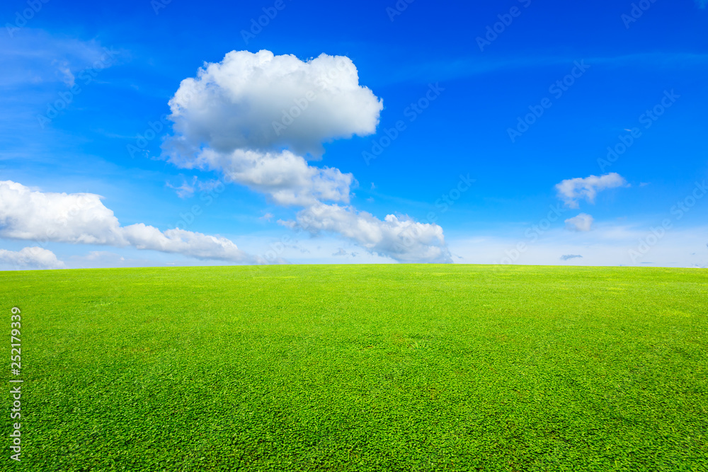 Green grass and blue sky with white clouds