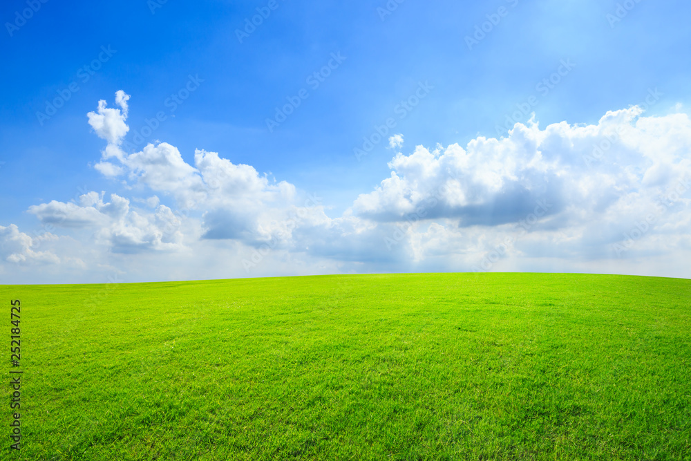 Green grass and blue sky with white clouds