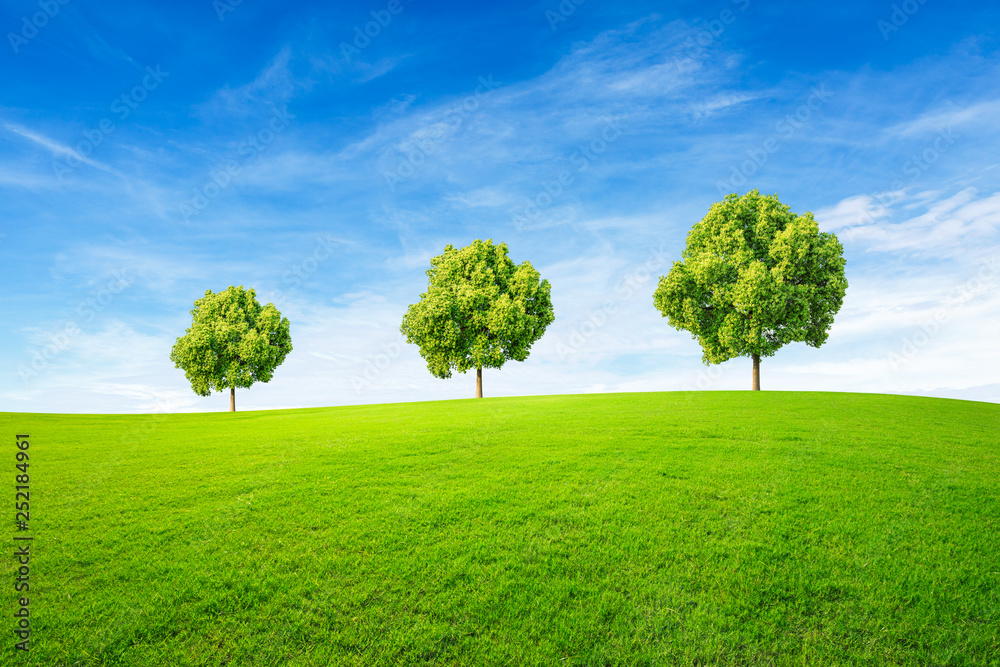 Green tree and grass field with white clouds